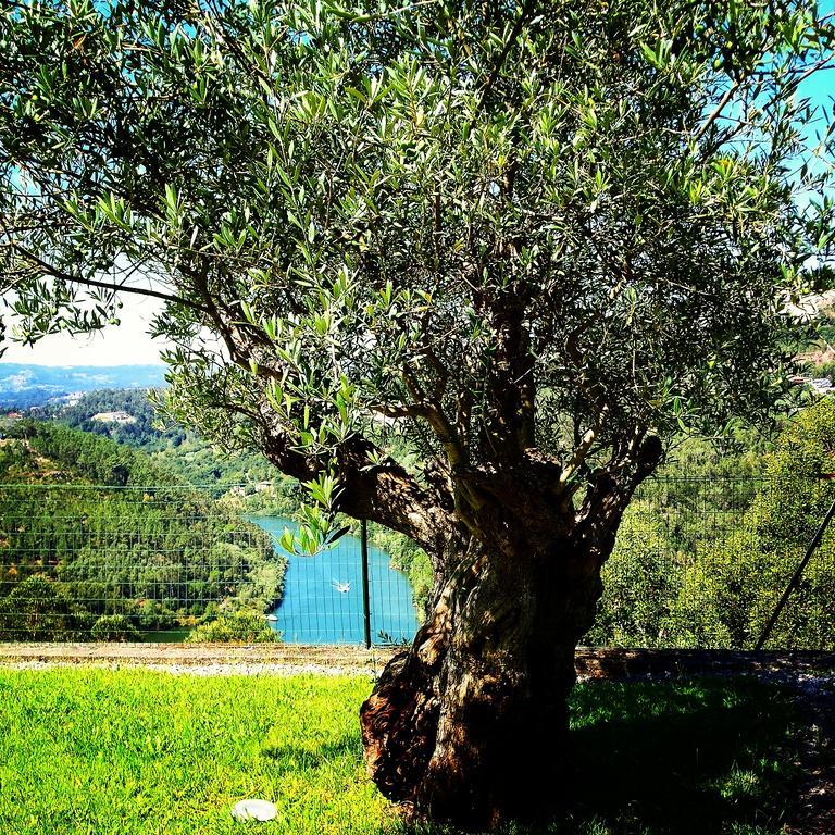 Quinta Das Tilias Douro Valley Cabaca Extérieur photo